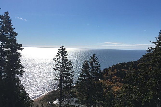 Shore Tours - Practical Aspects: Group Size, Booking, and Accessibility