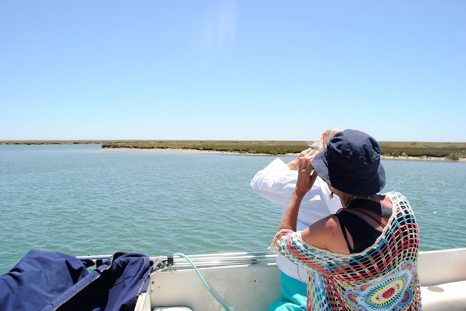 Short boat trip of the Algarve's Ria Formosa lagoon from Faro: 1 hour - Key Points