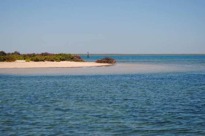 Short boat trip of the Algarve's Ria Formosa lagoon from Faro: 1 hour - Exploring the Ria Formosa Lagoon’s Wildlife and Salt Marshes