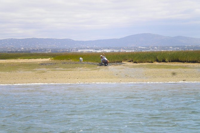 Short boat trip of the Algarve's Ria Formosa lagoon from Faro: 1 hour - Views of Faro’s Old Town Walls at the End of the Tour