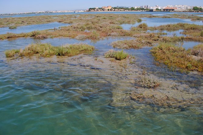 Short boat trip of the Algarve's Ria Formosa lagoon from Faro: 1 hour - Practicalities: Booking, Cancellation, and Group Size