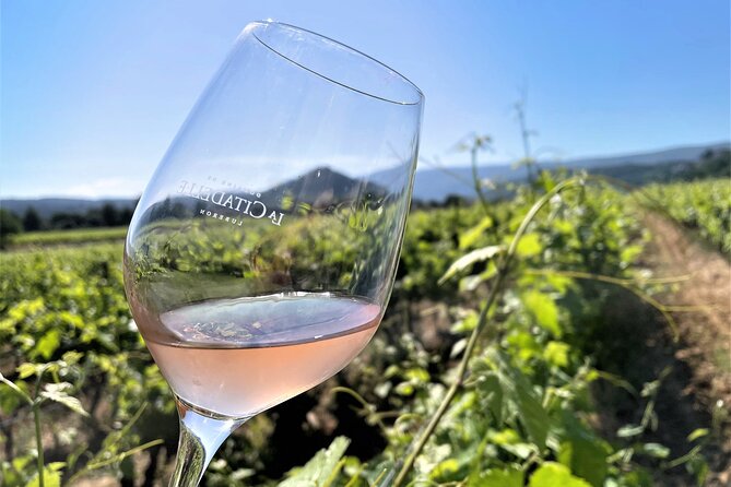 Short Day Tour around Aix en Provence and Wine Tasting - Ideal For Wine Enthusiasts and Curious Travelers