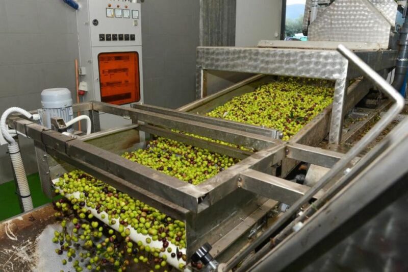 Short Tour of Olympia, an Olive Oil Press & St. Andrew Beach - Key Points