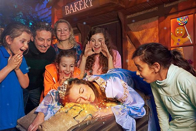 Shrek's Adventure! London Entrance Ticket - Physical Requirements and Accessibility