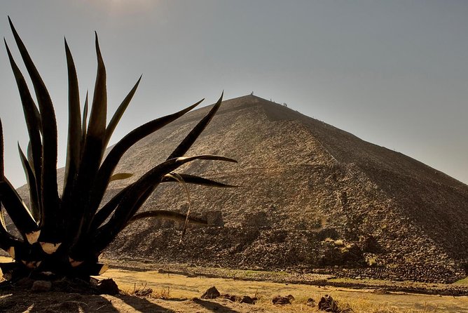 Shrine of Guadalupe and Teotihuacan Private & Small groups - Visiting the Museo de la Basilica de Guadalupe: Mexico’s Most Important Marian Shrine