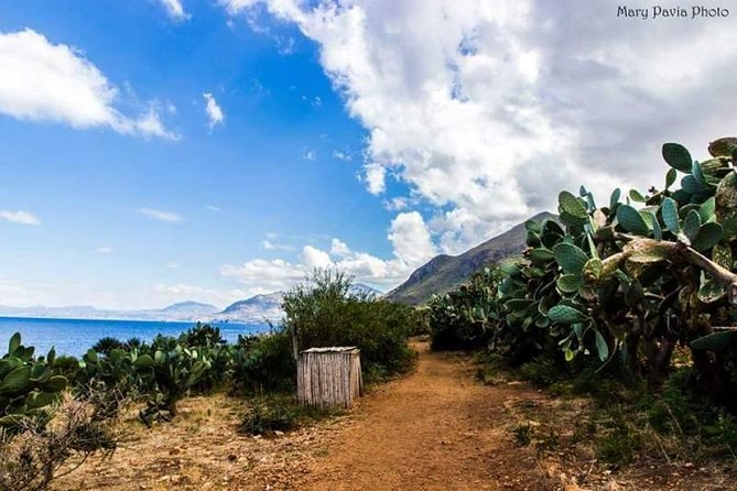 Shuttle Bus Riserva dello Zingaro - Who Should Consider This Shuttle Service