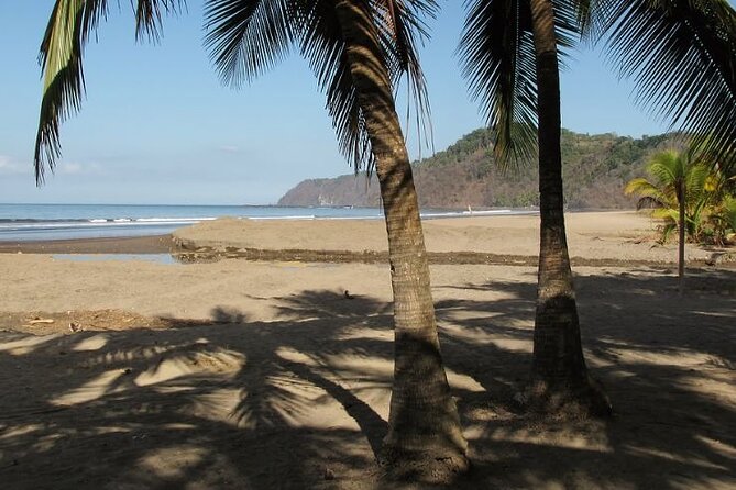 Shuttle From San Jose Airport To Jaco Beach or From Jaco Beach - Flexible Route Stops for Personal Needs