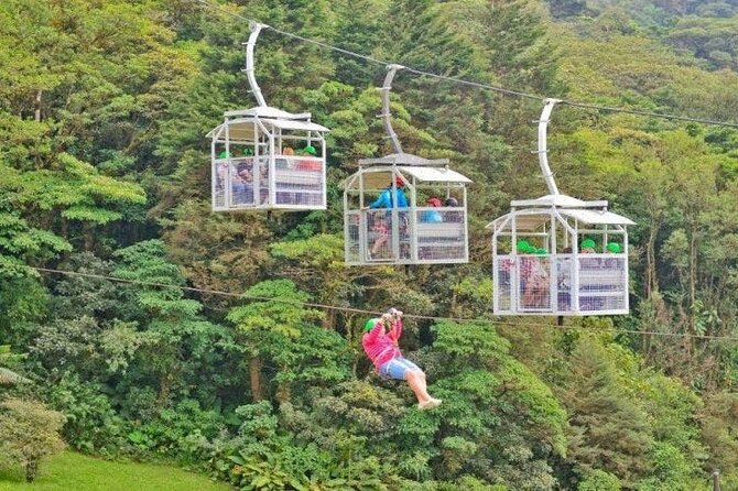 Shuttle From San Jose Airport To Monteverde - How the Private Shuttle Operates and What It Includes