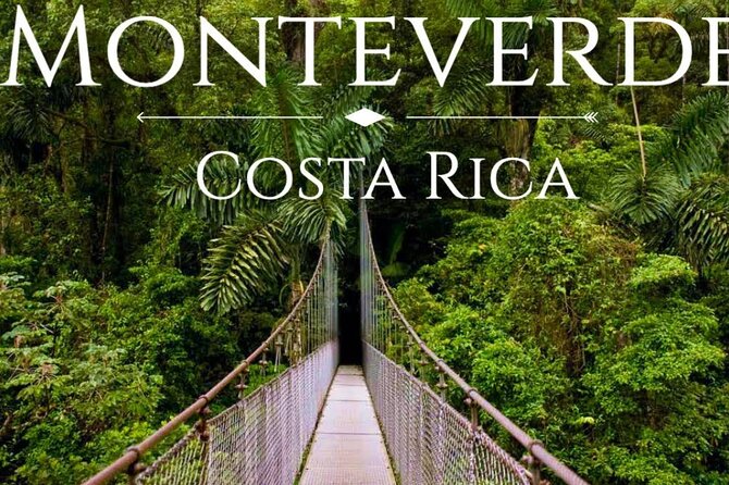 Shuttle From San Jose Airport To Monteverde - What Makes This Shuttle Stand Out from Other Options