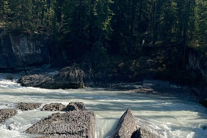 Shuttle Service and Tours - What’s Included in the Shuttle Service Cost