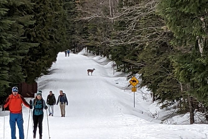 Shuttle to Snoqualmie Pass Ski and Snowboard - Booking and Cancellation Flexibility