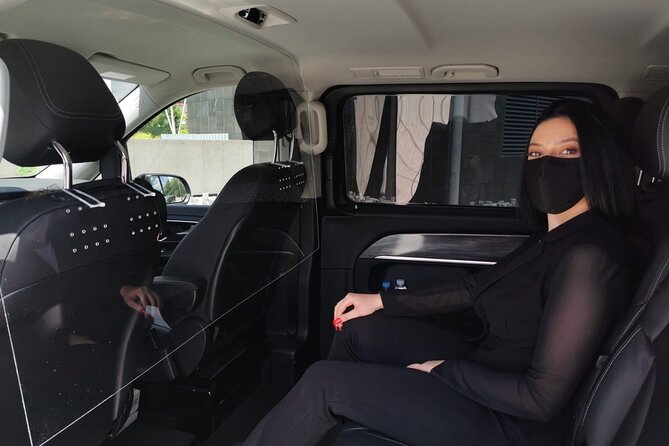 Shuttle Transfer Arrivals: Madrid Airport to City Center - Madrid Airport to City Center: Easy Booking and Flexible Schedule