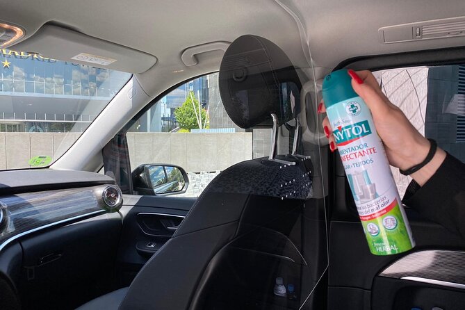 Shuttle Transfer Arrivals: Madrid Airport to City Center - The Experience of the Drivers and Service Quality