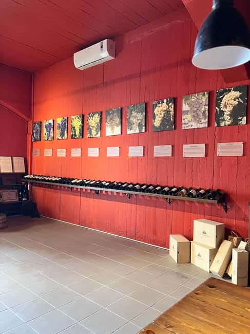 Shuttle & Wine Experience at Lyrarakis Winery - The Experience from the Guides and Customer Feedback