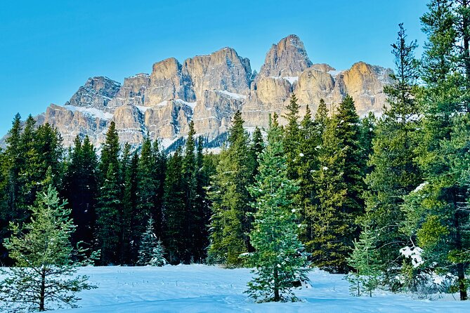 ShuttleBus 2way Banff to Lake Louise (1Hr) and Moraine Lake (1Hr) - Exploring Lake Louise’s Majestic Waters and Surroundings