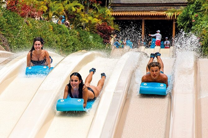 Siam Park Tenerife Entry Tickets - Highlights of the Water Slides and Attractions