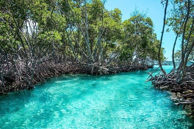 Sian Kaan Biosphere Reserve Tour from Playa del Carmen - Practical Tips and What to Bring