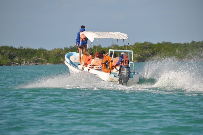 Sian Ka'an Boat Experience from Riviera Maya to Tulum - Key Points