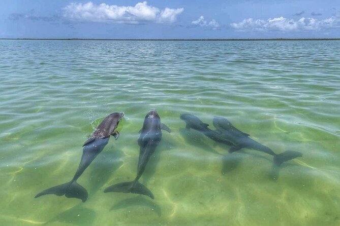 Sian Ka'an Boat Experience from Riviera Maya to Tulum - Lunch in Punta Allen: Savoring Local Flavors