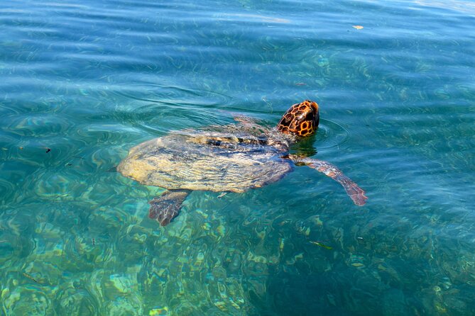 Sian Ka'an Boat Experience from Riviera Maya to Tulum - Practical Details: Booking, Group Size, and Cancellation