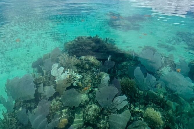 Sian Ka'an Boat Experience from Riviera Maya to Tulum - The Experience Provider: FisherNatours