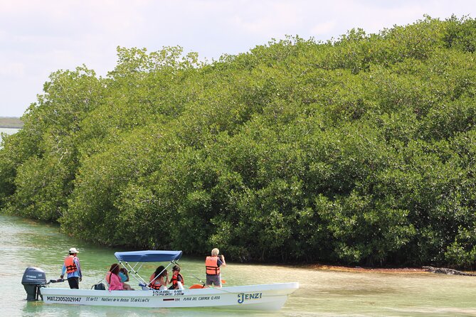 Sian Ka'an Classic - Explore the Vibrant Ecosystem of Sian Kaan with a Certified Guide