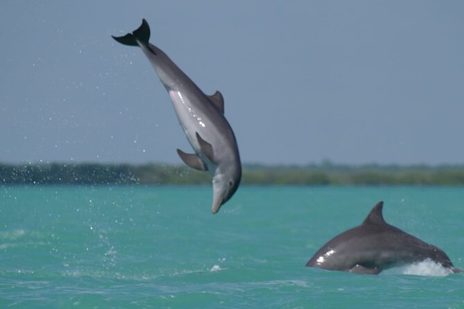 Sian Ka'an Classic - How the Tour Visits the UNESCO-Recognized Sian Kan Reserve