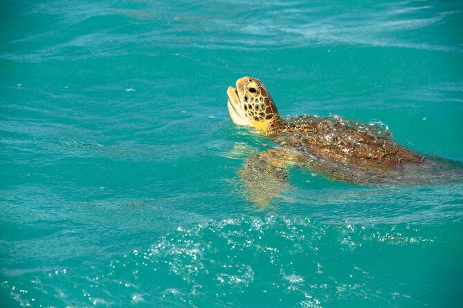 Sian Ka'an Classic - Comfort and Optional Deluxe Experience