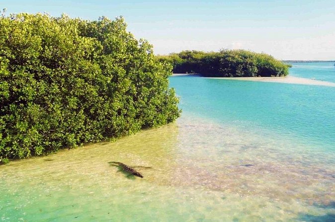 Sian Kaan Reserve Private Bike Tour - Relaxing at Virgin Caribbean Beaches