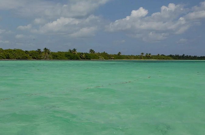 Sian Kaan Reserve Private Bike Tour - Enjoying a Authentic Seafood Ceviche Lunch