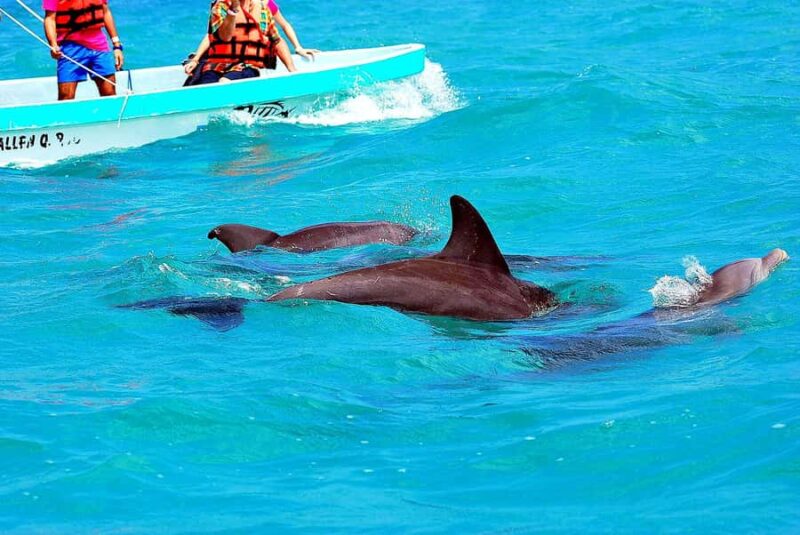 Sian Ka'an Reserve: Safari and Snorkeling Tour. - Key Points