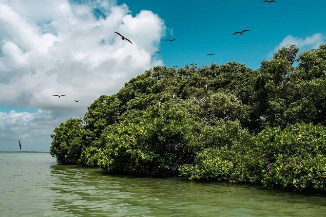 Sian Ka'an Reserve Tour - Key Points