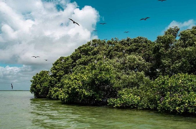 Sian Ka'an Reserve Tour - Visiting Four Cenotes for Swimming and Relaxation