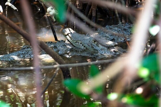 Sian Kaan Reserve Tour with Boat Trip and Maya Village Visit - The Buffet Lunch Featuring Local Ingredients