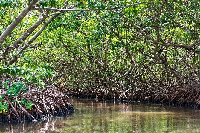Sian Kaan Reserve Tour with Boat Trip and Maya Village Visit - Comparing This Tour to Similar Experiences
