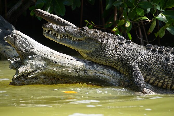 Sian Kaan Sunset Private boat. - Who is This Tour Best Suited For?