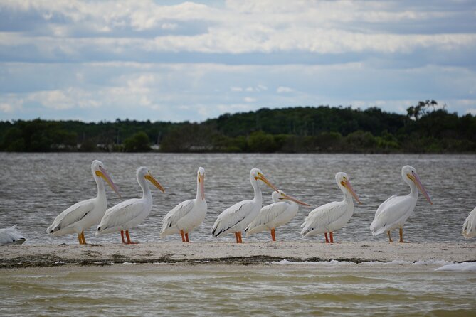 Sian Kaan Sunset Private boat. - What Sets This Tour Apart from Others?