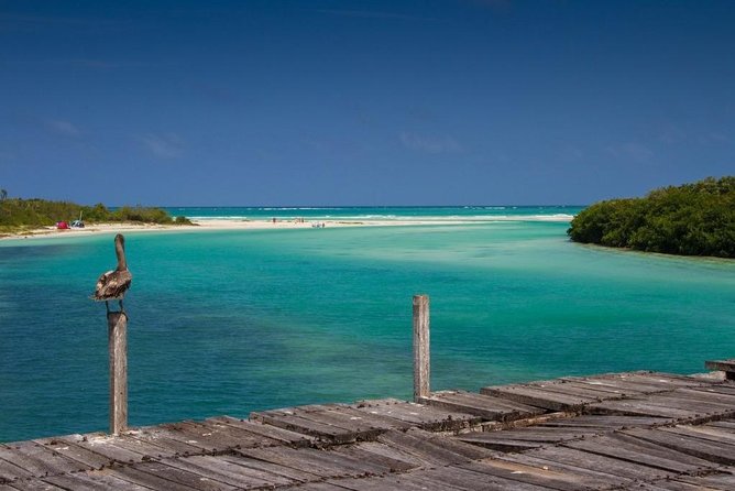 Sian Ka'an the green jewel, Biosphere Reserve Tour. Lunch & Snorkel included. - The Road to Sian Kaan: A Consideration
