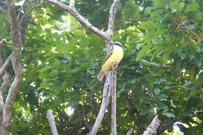 Sian Ka'an Tour (Private, Half Day) - Practical Details and Logistics