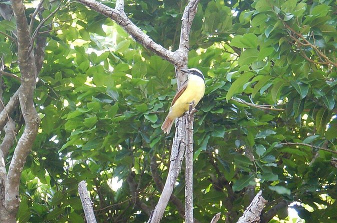 Sian Ka'an Tour (Private, Half Day) - Who Will Appreciate This Tour Most?