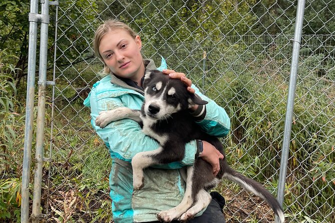 Siberian Husky Kennel Tour in Fairbanks Alaska - What is Included in the Tour Price
