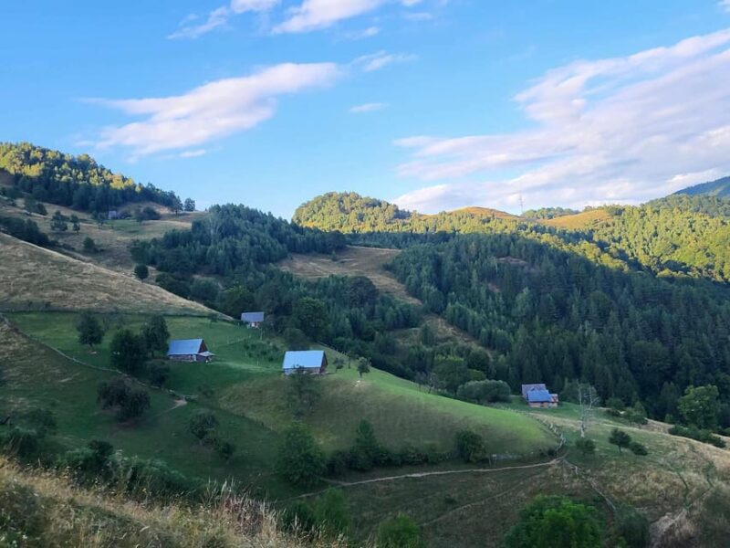 Sibiu: Cindrel Mountains Hike with Traditional Brunch - Key Points