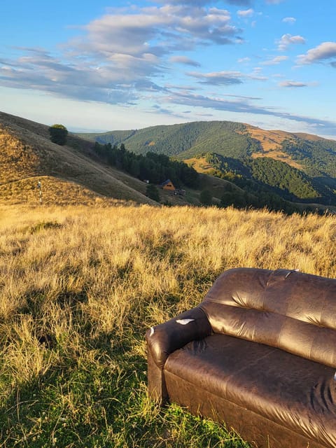 Sibiu: Cindrel Mountains Hike with Traditional Brunch - Who Will Enjoy This Tour Most