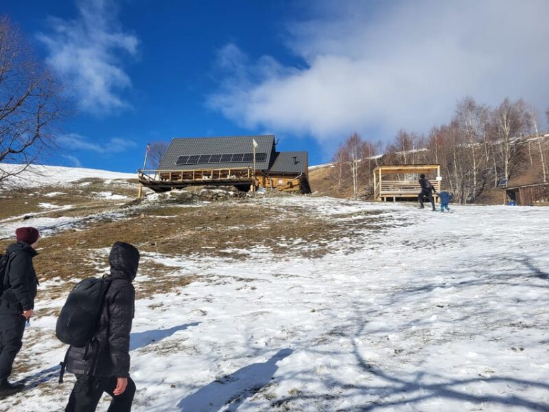 Sibiu: Cindrel Mountains Hike with Traditional Brunch - Limitations to Keep in Mind
