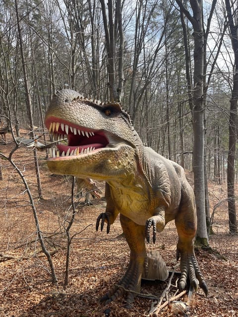 Sibiu: Dracula's Castle and Dino Park Day Trip - What’s Included and What to Bring