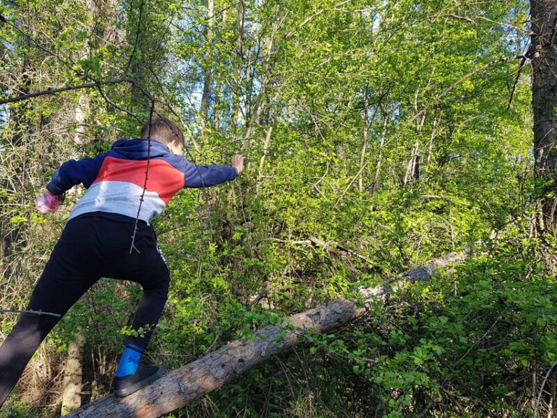 Sibiu panorama by evening, tour of Gusterita Hill - The Panoramic Nighttime View of Sibiu from Gusterita Hill