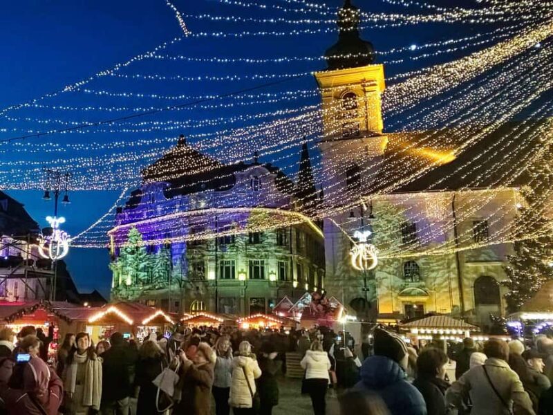 Sibiu & wine tasting tour (from Cluj) - Wine Tasting in a Picturesque Vineyard Setting