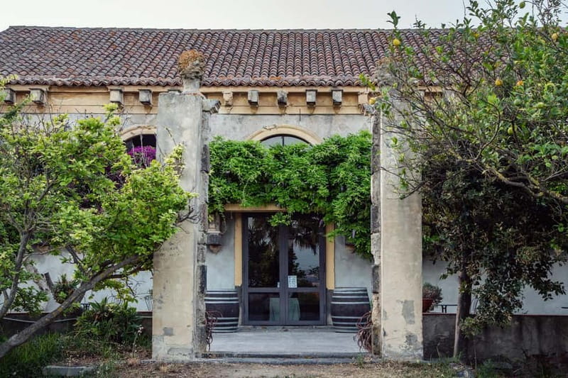 Sicilian Soul: Winery Tour, Wine & Food Tasting in Catania - Tasting Three Premium Sicilian Wines