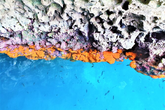 Sicilian wine tasting on the boat in Taormina - Scenic Departure from Taormina’s Coast