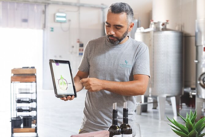 Sicilian Winery Experience in Alcamo - Key Points